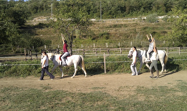 IMAG0027